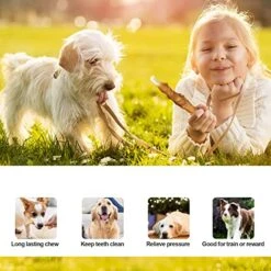 YesPettiChew Chicken Wrapped Rawhide Sticks Dog Treats, Long Lasting Puppy Chew Snacks, Teeth Cleaning Dog Rawhide Chews For All Dogs, 4.7' 11 Oz -Zoomie Shop 51mMidzsXqL