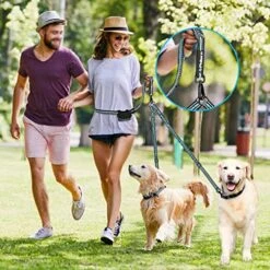 PHILORN Hands-Free Double Dog Leash 110lbs Comfortable Shock Absorbing Reflective Bungee For 2 Dogs Walking Training 66-84 Inch Adjustable No Tangle Dual Dog Leash With Pouch 2 Handles (Black) -Zoomie Shop 51mduFiX4kL