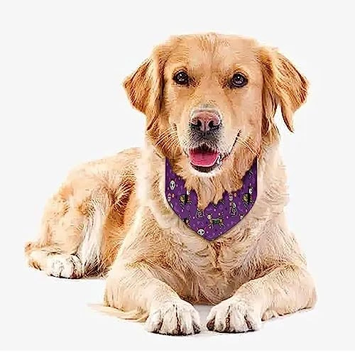 GENERIC Sugar Skull Calavera Black Cats Mexican Style Pet Bandana Collar - Scarf Collar - Art Dog Bandana Minimal Head Cicumference 3 GENERIC Sugar Skull Calavera Black Cats Mexican Style Pet Bandana Collar - Scarf Collar - Art Dog Bandana Minimal Head Cicumference - Image 3