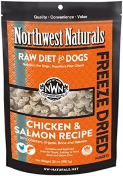 Northwest Naturals Freeze Dried Raw Diet For Dogs Freeze Dried Nuggets Dog Food – Lamb – Grain-Free, Gluten-Free Pet Food, Dog Training Treats – 12 Oz. -Zoomie Shop 51n0My0fpGL. AC
