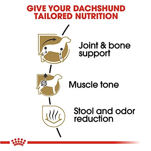 Royal Canin Dachshund Adult Breed Specific Dry Dog Food, 2.5 Lb Bag 3 Royal Canin Dachshund Adult Breed Specific Dry Dog Food, 2.5 Lb Bag - Image 3