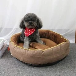 SENERY Warm Thicken Fleece Dogs Bed Round Pet Lounger Cushion For Small Medium Large Dogs Winter Cat Kennel Puppy Mats 16 SENERY Warm Thicken Fleece Dogs Bed Round Pet Lounger Cushion For Small Medium Large Dogs Winter Cat Kennel Puppy Mats -Zoomie Shop 51nPoD5UT2L. AC