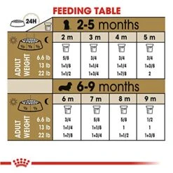 Royal Canin Dachshund Puppy Breed Specific Dry Dog Food, 2.5 Lb. Bag -Zoomie Shop 51ngDOdPJIL