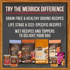 Merrick Grain Free Wet Puppy Food, Puppy Plate Chicken Recipe Canned Dog Food - (12) 12.7 Oz. Cans -Zoomie Shop 51niDd3Ga1L