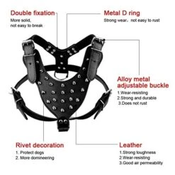 DOILNXH Spiked Studded Dog Collar And Harness Set 7 Colors Leather Collars And Harnesses For Medium Large Dogs Pitbull Mastiff Camouflage Large