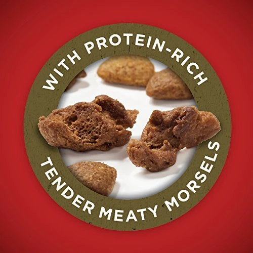 Purina ONE Dry Dog Food Lamb And Rice Formula - 16.5 Lb. Bag 2 Purina ONE Dry Dog Food Lamb And Rice Formula - 16.5 Lb. Bag - Image 2