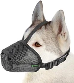 Lepark Nylon Mesh Dog Muzzle With Overhead Strap For Small,Medium And Large Dogs,Anti Biting, Barking And Chewing,Ajustable And Breathable(S,Black) -Zoomie Shop 51oDXTJ0tYL. AC 3