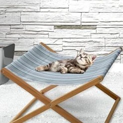 Lunarable Pumpkin Pet Hammock, Colorful Fruits Of The Autumn Halloween Vegetarian And Vegan Food Options, Bed For Kittens Canopy With Durable Wooden Frame, 22" X 19 1/2" X 13", Orange Green -Zoomie Shop 51oR23UBB8L. AC