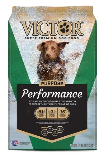 Victor Super Premium Dog Food – Performance Dry Dog Food – 26% Protein For Active Adult Dogs – Includes Glucosamine And Chondroitin For Hip And Joint Health, 40lbs 1 Victor Super Premium Dog Food – Performance Dry Dog Food – 26% Protein For Active Adult Dogs – Includes Glucosamine And Chondroitin For Hip And Joint Health, 40lbs