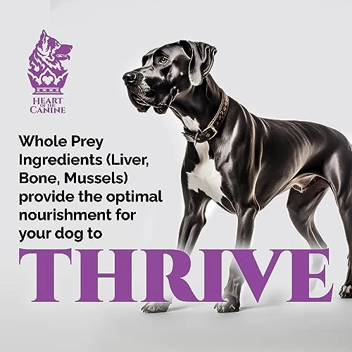 Hip, Bone & Joint - Premium Freeze Dried Dog Treats - Grass Fed Beef Bone, Green Mussel, Chicken Cartilage - Calcium And Collagen From Real Food Ingredients - Heart Of The Canine - 6oz 2 Hip, Bone & Joint - Premium Freeze Dried Dog Treats - Grass Fed Beef Bone, Green Mussel, Chicken Cartilage - Calcium And Collagen From Real Food Ingredients - Heart Of The Canine - 6oz - Image 2
