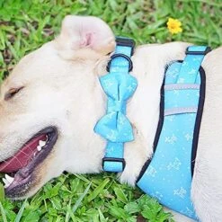 BELWAD Adjustable Dog Harness Breathable Mesh Vest Training Belt Suit Soft Handle Outdoor Breathable Traction Printing Set Of Six,Blue,M -Zoomie Shop 51ogvlTZ2EL