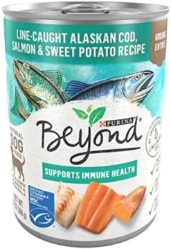 Purina Beyond Cod, Salmon And Sweet Potato Natural Ground Grain Free Wet Dog Food Pate - (12) 13 Oz. Cans -Zoomie Shop 51pE8KJy4gL. AC
