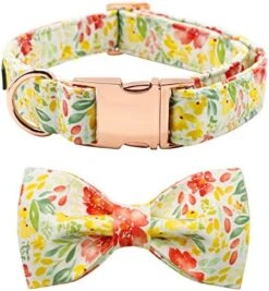 Lionet Paws Dog Collar With Bowtie - Cute Cotton Bowtie Dog Collar With Metal Buckle For Small Dog Girl Boy Gift, S, Neck 10-16in 24 Lionet Paws Dog Collar With Bowtie - Cute Cotton Bowtie Dog Collar With Metal Buckle For Small Dog Girl Boy Gift, S, Neck 10-16in -Zoomie Shop 51peKYANmyL. AC