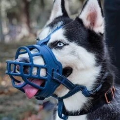 Dog Muzzle,Soft Basket Silicone Muzzles For Dog, Best To Prevent Biting, Chewing And Barking, Allows Drinking And Panting, Used With Collar 29 Dog Muzzle,Soft Basket Silicone Muzzles For Dog, Best To Prevent Biting, Chewing And Barking, Allows Drinking And Panting, Used With Collar -Zoomie Shop 51q3L74EKgL. AC 3