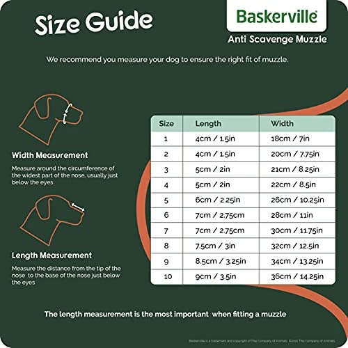 Safe BASKERVILLE ANTI SCAVENGE MUZZLE, Size 5, Dog Can Pant And Drink, Prevents Biting And Food Waste Scavenging, Ideal For Longer Nosed Dogs, Breathable Dog Training Muzzle For Medium Dogs 6 Safe BASKERVILLE ANTI SCAVENGE MUZZLE, Size 5, Dog Can Pant And Drink, Prevents Biting And Food Waste Scavenging, Ideal For Longer Nosed Dogs, Breathable Dog Training Muzzle For Medium Dogs - Image 6
