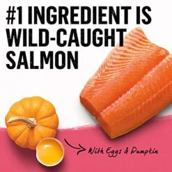 Purina Beyond Natural Dry Dog Food, Superfood Blend Salmon, Egg & Pumpkin Recipe - 3.7 Lb. Bag -Zoomie Shop 51qEonFKBVS