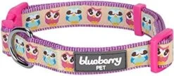 Blueberry Pet Essentials 10 Patterns Statement Busy Bees Designer Adjustable Dog Collar, Large, Neck 18"-26" -Zoomie Shop 51qJDhhMI0L. AC