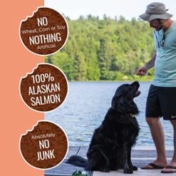 Smart Cookie Freeze Dried Salmon Bites - Single Ingredient Freeze Dried Salmon Treats For Dogs - Wild Caught Alaskan Salmon Dog Training Treats & Dog Food Topper - Made In USA - 2oz Bag, 3 Pack -Zoomie Shop 51qOOtXEhcL