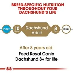 Royal Canin Dachshund Adult Breed Specific Dry Dog Food, 10 Lb Bag -Zoomie Shop 51qjLhg6aFL 1