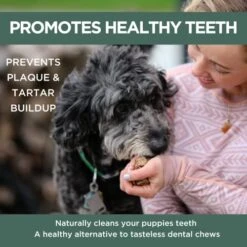 K9 Connoisseur Low To Odor Free Slow Roasted Beef Lung Dog Treats Made In USA, One Ingredient Dog Treats & All Natural Dog Treats, Grain Free Dog Treats For All Breeds & Sizes - 2.5 Pounds -Zoomie Shop 51qvLrImhZL