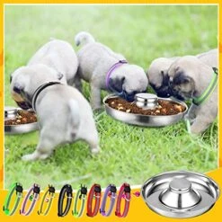 2 Pcs Puppy Bowl With 12 Pcs Puppy Collars Puppy Feeding Bowls Adjustable Puppy Whelping Collars Newborn Puppy Supplies Dog Whelping Kit Dog Bell Collar Puppy Litter Bowls Puppy ID Collars For Puppies 10 2 Pcs Puppy Bowl With 12 Pcs Puppy Collars Puppy Feeding Bowls Adjustable Puppy Whelping Collars Newborn Puppy Supplies Dog Whelping Kit Dog Bell Collar Puppy Litter Bowls Puppy ID Collars For Puppies -Zoomie Shop 51qy2Oken4L