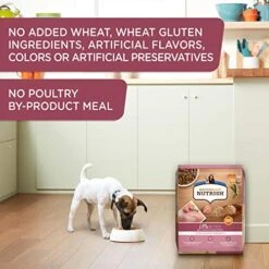 Rachael Ray Nutrish Little Bites Dry Dog Food, Chicken & Veggies Recipe For Small Breeds, 14 Pound Bag -Zoomie Shop 51rI6LRiLBL