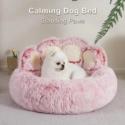 Jiupety Dog Bed With Standing Paws | Upgraded Soothing Paw Dog Bed | Cozy Comfy Small Dog Bed | Creative Dog Donut Bed With Bear Paws | Pink L Size 26”X26”X8” | Pet Paw Dog Bed For Small Dogs -Zoomie Shop 51ruGl5v10L