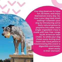 "I And Love And You" Ear Candy Cow Ear Strips - Grain Free Dog Chews, 100% Beef Cow Ears, 2.5-Ounce -Zoomie Shop 51t5Ig5ZLaL
