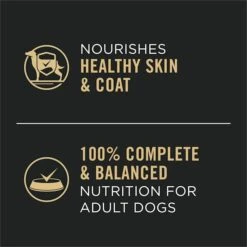 Purina Pro Plan Complete Essentials High Protein Chicken And Rice Entree Adult Dog Food Wet Pate, 13 Oz., Case Of 12 -Zoomie Shop 51tOaGVACKL