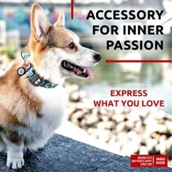 WAUDOG Nylon Dog Collar - Adjustable Dog Collar For Large Dogs, Small & Medium Dogs - Breakaway Puppy Collars For Large Breed Dogs - Boy & Girl Dog Collars With Durable Plastic Buckle And QR Dog Tag