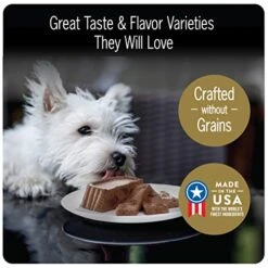 CESAR Adult Soft Wet Dog Food Filets In Gravy Variety Pack, Filet Mignon, New York Strip And Prime Rib Flavors, (24) 3.5 Oz. Trays -Zoomie Shop 51u0FgV0aIL 1