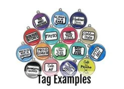 Wag-A-Tude Tags I Have Allergies Do Not Feed Dog ID Tag - Medical Alert Pet Tag (Large) -Zoomie Shop 51uAgky92JL