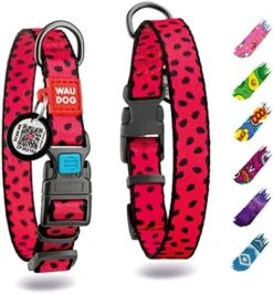 WAUDOG Nylon Dog Collar - Adjustable Dog Collar For Large Dogs, Small & Medium Dogs - Breakaway Puppy Collars For Large Breed Dogs - Boy & Girl Dog Collars With Durable Plastic Buckle And QR Dog Tag -Zoomie Shop 51uFuJAIiUL. AC