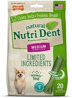 Nylabone Nutri Dent Filet Mignon Flavored Dog Dental Chews Mini - Up To 10 Lbs. 160 Count -Zoomie Shop 51uTk4DBKwL. AC