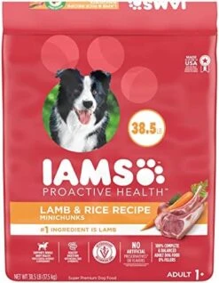 IAMS Minichunks Adult Dry Dog Food Lamb & Rice Recipe Dog Kibble, 38.5 Lb. Bag -Zoomie Shop 51uk4n5tO0L. AC