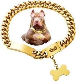 Girl Boy Cute Gold Chain Metal Dog Collar, Steel Heavy Duty Strong Dog Necklace With Magnet Buckle -Zoomie Shop 51vCPOn8E0L. AC
