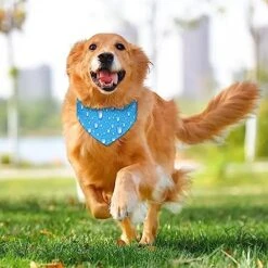 GENERIC Water Drop Blue Pattern Pet Bandana Collar - Scarf Collar - Art Dog Bandana Minimal Head Cicumference 10 GENERIC Water Drop Blue Pattern Pet Bandana Collar - Scarf Collar - Art Dog Bandana Minimal Head Cicumference -Zoomie Shop 51vM1N7yuVL