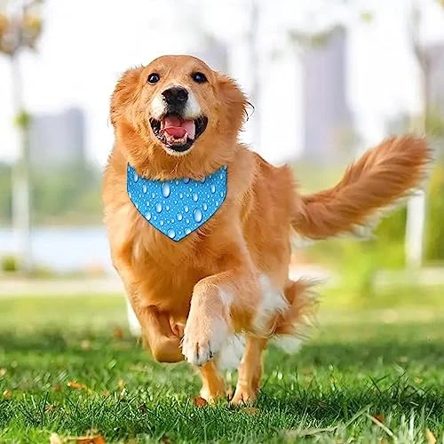 GENERIC Water Drop Blue Pattern Pet Bandana Collar - Scarf Collar - Art Dog Bandana Minimal Head Cicumference 4 GENERIC Water Drop Blue Pattern Pet Bandana Collar - Scarf Collar - Art Dog Bandana Minimal Head Cicumference - Image 4