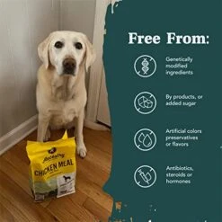 Ancestry Dog Food, Chicken Meal & Brown Rice Formula, Crude Protein, Fiber & Fat With Added Vitamins, For All Life Stages, Dry Dog Food, Improve Gut Health, Digestive & Immune Support (4 Lb. Bag) -Zoomie Shop 51vQ6shKaxL