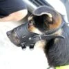 Pet Masks, Dogs, Large, Medium And Small Dogs, Anti-bite, Anti-Barking, Food Protection, Bark Plugs, Dog Mouth Masks Black