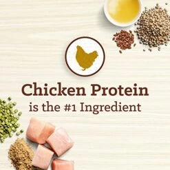 NUTRO MAX Senior Recipe Dry Dog Food With Farm-Raised Chicken, 25 LB Bag 9 NUTRO MAX Senior Recipe Dry Dog Food With Farm-Raised Chicken, 25 LB Bag -Zoomie Shop 51vs3AogtzL