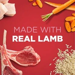 IAMS PROACTIVE HEALTH Adult Wet Dog Food Classic Ground With Lamb And Whole Grain Rice, Of 13 Oz.(Pack Of 12) 14 IAMS PROACTIVE HEALTH Adult Wet Dog Food Classic Ground With Lamb And Whole Grain Rice, Of 13 Oz.(Pack Of 12) -Zoomie Shop 51w6HXDcgkL