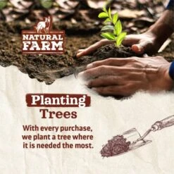 Natural Farm Whole Anchovies Dog Treats (3.5 Oz, 100g), All Natural Air Dried Fish Treats For Dogs, Sustainably Sourced Fish, 1 Ingredient - Anchovies, Collagen, Omega 3s For A Shiny Coat -Zoomie Shop 51wAVYUreVL