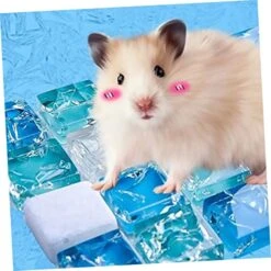 Practical Mat 2pcs Summer Dog Bed Summer Items Summer Sleeping Mat Accessories For Small Animal Bed Radiating Plate Crystal Cushion Dog Pad Cooling Pad Blue 12 Practical Mat 2pcs Summer Dog Bed Summer Items Summer Sleeping Mat Accessories For Small Animal Bed Radiating Plate Crystal Cushion Dog Pad Cooling Pad Blue -Zoomie Shop 51wBpiPaiOL