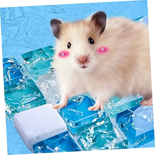 Practical Mat 2pcs Summer Dog Bed Summer Items Summer Sleeping Mat Accessories For Small Animal Bed Radiating Plate Crystal Cushion Dog Pad Cooling Pad Blue 5 Practical Mat 2pcs Summer Dog Bed Summer Items Summer Sleeping Mat Accessories For Small Animal Bed Radiating Plate Crystal Cushion Dog Pad Cooling Pad Blue - Image 5