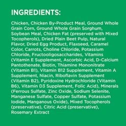 IAMS Small & Toy Breed Adult Dry Dog Food For Small Dogs With Real Chicken, 15 Lb. Bag 10 IAMS Small & Toy Breed Adult Dry Dog Food For Small Dogs With Real Chicken, 15 Lb. Bag -Zoomie Shop 51wWnhNjaWL