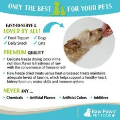 Raw Paws Wild-Caught Freeze Dried Fish Dog Treats & Fish Cat Treats, Sardine Bites, 2-oz - Made In USA Only - Fish Training Treats - Cat Freeze Dried Treats - Dog Dried Fish Treats - Cat Sardines -Zoomie Shop 51welBSxIML