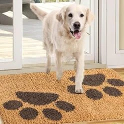 Pet Bed Mat 19.5" X 31.5", Dog Door Mat For Muddy Wet Paws And Shoes, Dog Indoor Door Non-Slip, Absorbent, Dirt Resist Mat, Machine Washable Entrance Rug Low-Profile Inside Entry Doormats For Entryway -Zoomie Shop 51wzgSCZkyL. AC 2