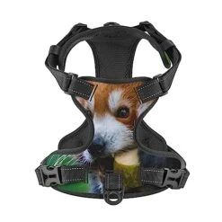 Pet Dog Vest Harness Set Red Panda Eat Food Dog Harness For Small Medium And Large Dogs -Zoomie Shop 51x7A298RpL