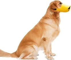 DELIFUR Dog Muzzle Soft Covered Muzzles Covers Silicone For Small Medium Dogs Prevent Biting And Chewing With Adjustable Straps (X-Large) -Zoomie Shop 51xIghs8DOL